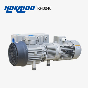 Plasma Clean Machine Used Rotary Vacuum Pump (RH0040)